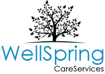 WellSpring Care Services